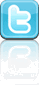 icon_twitter